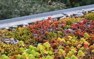 the cost of Berghers Hill green roof installation