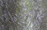 Berghers Hill fibreglass roof work