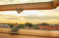 rated Berghers Hill roof window companies